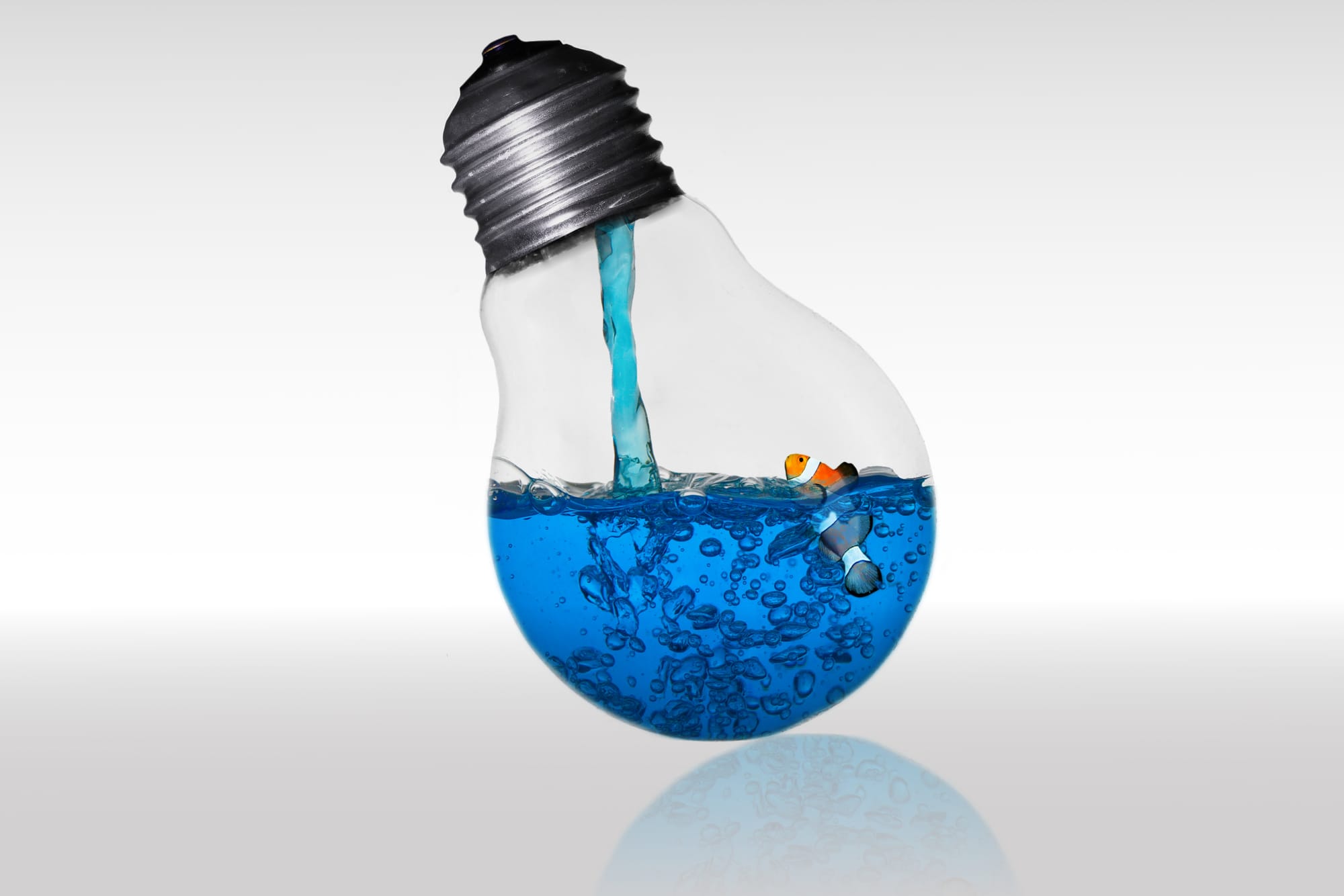 Fisch im Glas